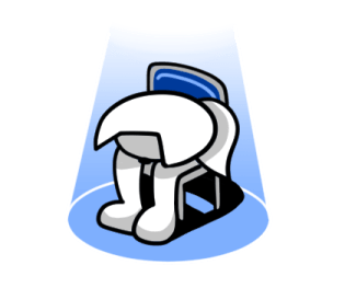 ลายที่ 33