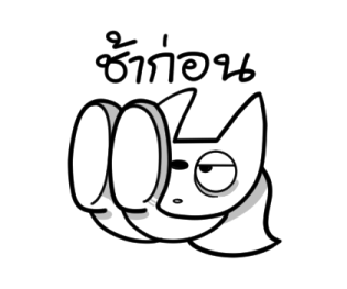 ลายที่ 55