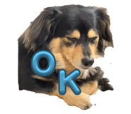 794469185
