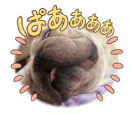 794473858