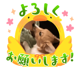 794478138