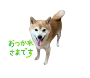 794478561