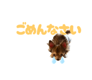 794478563