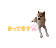 794478564