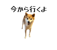 794478577