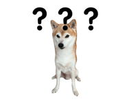 794478578