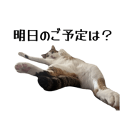 794478583