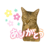 794485020