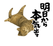 794485024