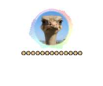 794489526