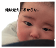794495843