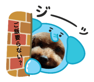 794497811