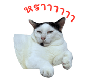 794501185