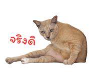 794501189