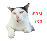 794501190