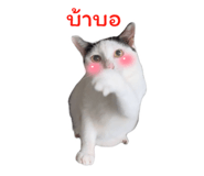 794501204