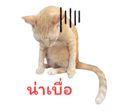 794501207