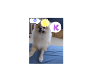 794505934