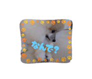 794505936