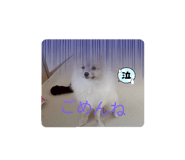 794505942