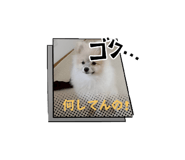 794505948
