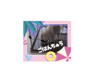 794505953
