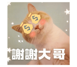 794516418