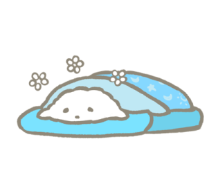 ลายที่ 13