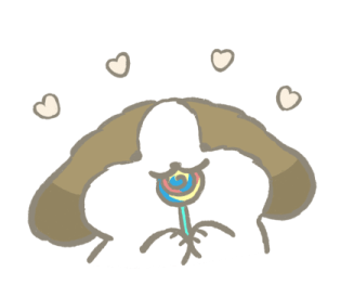 ลายที่ 21