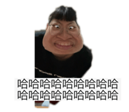 794525950