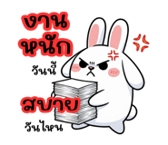 794541555