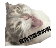 794547850