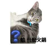794547851