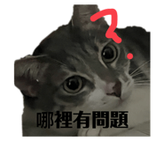 794547854
