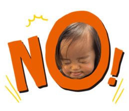 794550620
