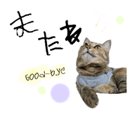 794551435
