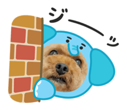 794553350