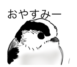 794563860