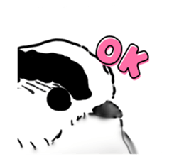 794563862