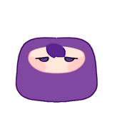 794567962