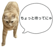 794569827