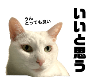 794575907