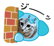 794580135