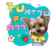 794583898