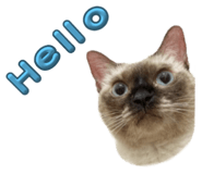 794584512