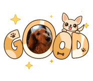 794589777