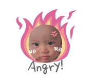 794595096