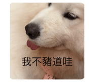 794598997