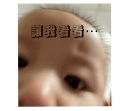 794603813