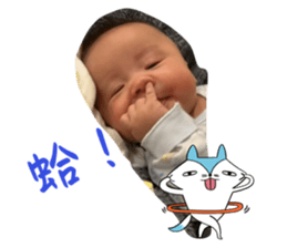 794603826